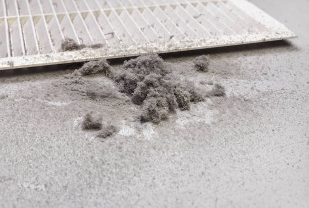 Best Duct Cleaning for Offices  in Divernon, IL