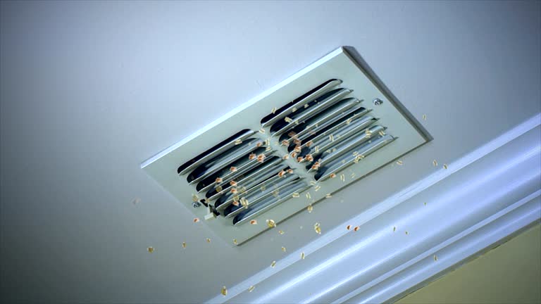 Ventilation Cleaning Services in IL