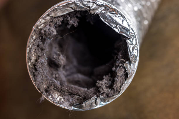 Best HVAC Duct Inspection Services  in Divernon, IL