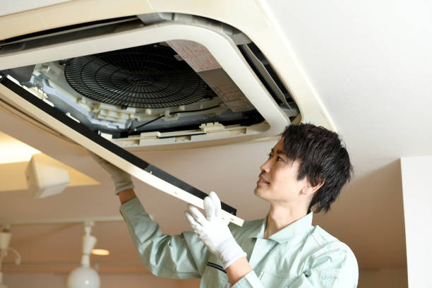 Best Air Vent Cleaning Services  in Divernon, IL